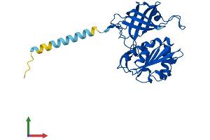 AlphaFold protein structure predicition of Human Recombinant CYB5R1 Protein, UniprotID Q9UHQ9