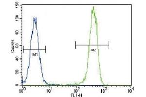 Anti-PCNA antibody flow cytometric analysis of HeLa cells (right histogram) compared to a negative control cell (left histogram). (PCNA anticorps  (AA 89-117))