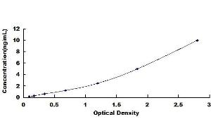 Typical standard curve (ENPEP Kit ELISA)