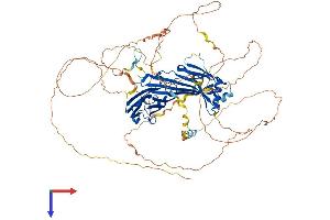 AlphaFold protein structure predicition of Mouse Recombinant Sgip1 Protein, UniprotID Q8VD37