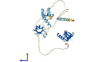AlphaFold protein structure predicition of Human Recombinant LYAR Protein, UniprotID Q9NX58