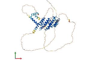 AlphaFold protein structure predicition of Human Recombinant TERF2 Protein, UniprotID Q15554