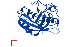 AlphaFold protein structure predicition of Human Recombinant PPIAL4D Protein, UniprotID F5H284