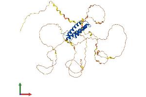 AlphaFold protein structure predicition of Human Recombinant BAG4 Protein, UniprotID O95429