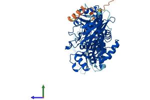 AlphaFold protein structure predicition of Human Recombinant UFSP2 Protein, UniprotID Q9NUQ7