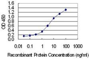 Detection limit for recombinant GST tagged UGT2B7 is 0.