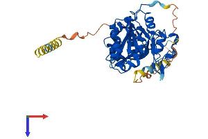 AlphaFold protein structure predicition of Mouse Recombinant Lfng Protein, UniprotID O09010