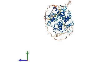 AlphaFold protein structure predicition of Human Recombinant ZNF773 Protein, UniprotID Q6PK81