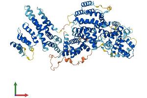AlphaFold protein structure predicition of Human Recombinant MED24 Protein, UniprotID O75448