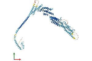 AlphaFold protein structure predicition of Human Recombinant COG2 Protein, UniprotID Q14746