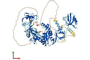 AlphaFold protein structure predicition of Human Recombinant DLG4 Protein, UniprotID P78352