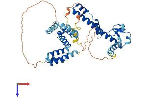 AlphaFold protein structure predicition of Human Recombinant DNAJB12 Protein, UniprotID Q9NXW2