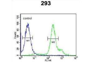 Flow Cytometry (FACS) image for anti-RNA Binding Motif Protein 24 (RBM24) antibody (ABIN3002392)