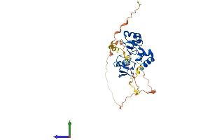 AlphaFold protein structure predicition of Human Recombinant BIRC7 Protein, UniprotID Q96CA5