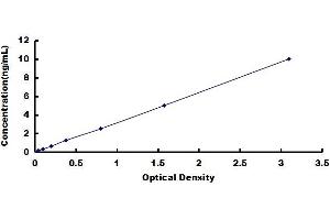 Myosin, Light Chain 3 (MYL3) ELISA Kit