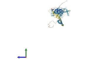 AlphaFold protein structure predicition of Mouse Recombinant Kif11 Protein, UniprotID Q6P9P6