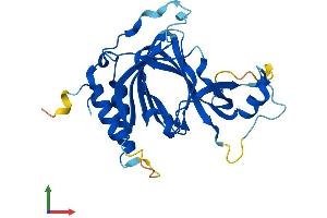 AlphaFold protein structure predicition of Mouse Recombinant Ado Protein, UniprotID Q6PDY2