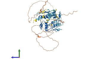 AlphaFold protein structure predicition of Human Recombinant ZNF10 Protein, UniprotID P21506