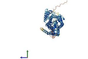 AlphaFold protein structure predicition of Human Recombinant SLC38A1 Protein, UniprotID Q9H2H9