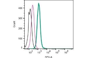 Cell surface detection of KISS1R by direct flow cytometry in live intact human  monocytic leukemia cell line: + Rabbit IgG Isotype Control-FITC (ABIN7582044).