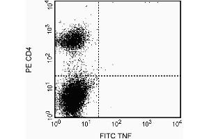 The binding of the FITC-MP6-XT22 antibody was blocked by preincubation of the antibody conjugate with recombinant mouse TNF (0. (TNF alpha anticorps)