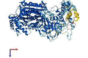 AlphaFold protein structure predicition of Human Recombinant UBA7 Protein, UniprotID P41226