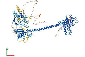AlphaFold protein structure predicition of Human Recombinant GUCY1A2 Protein, UniprotID P33402