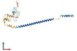 AlphaFold protein structure predicition of Human Recombinant RNF187 Protein, UniprotID Q5TA31