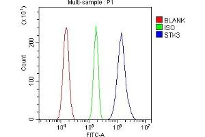 Flow Cytometry analysis of U87 cells using anti-STK3/MST-2 antibody (ABIN7601288).
