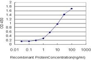 Detection limit for recombinant GST tagged GHRL is approximately 0. (Ghrelin anticorps  (AA 1-117))