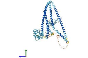 AlphaFold protein structure predicition of Mouse Recombinant Ccdc22 Protein, UniprotID Q9JIG7