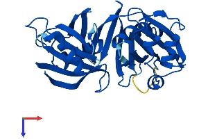 AlphaFold protein structure predicition of Mouse Recombinant Pbld1 Protein, UniprotID Q9DCG6
