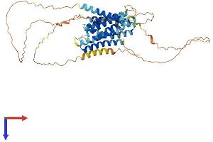 AlphaFold protein structure predicition of Mouse Recombinant Slc39a7 Protein, UniprotID Q31125