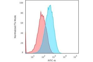 Flow Cytometric Analysis of paraformaldehyde-fixed HepG2 cells using Albumin Monospecific Mouse Monoclonal Antibody (ALB/2356) followed by goat anti-Mouse IgG-CF488 (Blue); Isotype Control (Red).