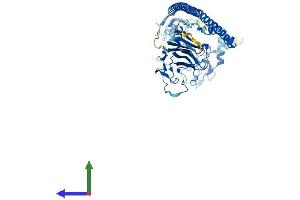 AlphaFold protein structure predicition of Human Recombinant TRIM11 Protein, UniprotID Q96F44