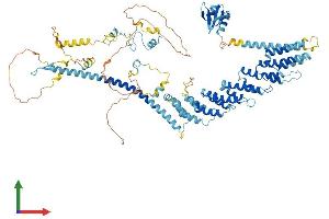 AlphaFold protein structure predicition of Mouse Recombinant Tfip11 Protein, UniprotID Q9ERA6