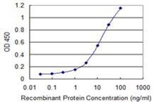 Detection limit for recombinant GST tagged CCNDBP1 is 0.