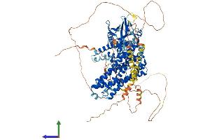 AlphaFold protein structure predicition of Mouse Recombinant Arhgef1 Protein, UniprotID Q61210