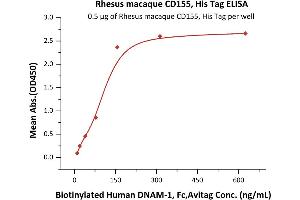 Immobilized Rhesus macaque CD155, His Tag (ABIN6386414,ABIN6388272) at 5 μg/mL (100 μL/well) can bind Biotinylated Human DNAM-1, Fc,Avitag (ABIN4949019,ABIN4949020) with a linear range of 10-156 ng/mL (Routinely tested).