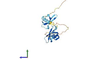 AlphaFold protein structure predicition of Mouse Recombinant Cbx1 Protein, UniprotID P83917