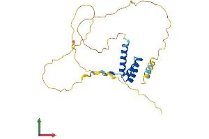 AlphaFold protein structure predicition of Mouse Recombinant Mixl1 Protein, UniprotID Q9WUI0