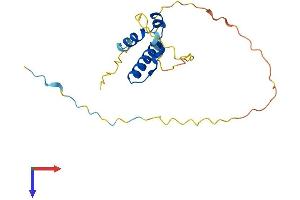 AlphaFold protein structure predicition of Human Recombinant SSX5 Protein, UniprotID O60225