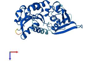 AlphaFold protein structure predicition of Human Recombinant ASPDH Protein, UniprotID A6ND91