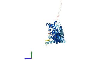 AlphaFold protein structure predicition of Human Recombinant ANKRD61 Protein, UniprotID A6NGH8