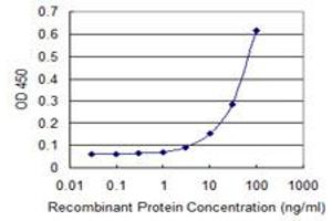 Detection limit for recombinant GST tagged PGLS is 1 ng/ml as a capture antibody. (PGLS anticorps  (AA 1-258))
