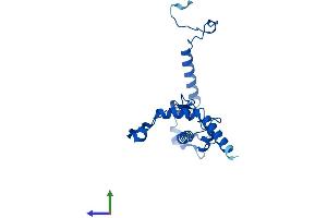 AlphaFold protein structure predicition of Human Recombinant RPL13 Protein, UniprotID P26373