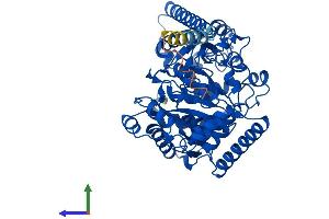 AlphaFold protein structure predicition of Human Recombinant FAAH Protein, UniprotID O00519