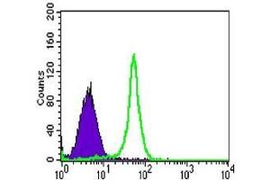 FC analysis of HL-60 cells using TAB2 antibody (green) and negative control (purple).
