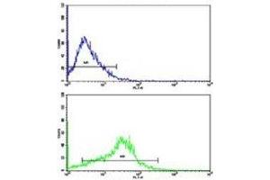 Flow cytometric analysis of HepG2 cells using APP antibody (bottom histogram) compared to a negative control (top histogram).