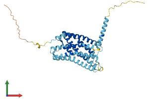 AlphaFold protein structure predicition of Human Recombinant ACKR4 Protein, UniprotID Q9NPB9